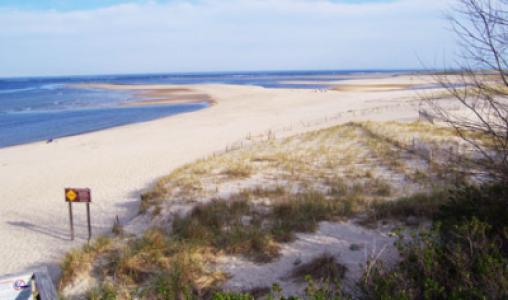 Cape Cod3