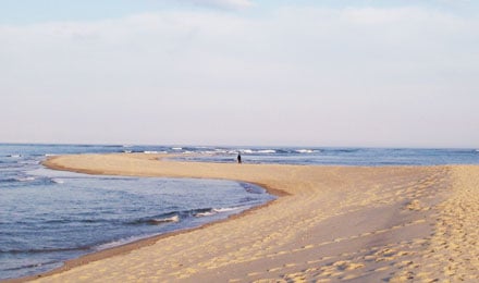 Cape Cod5