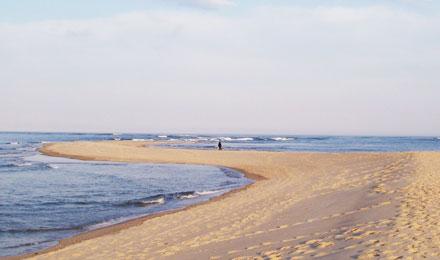 Cape Cod5