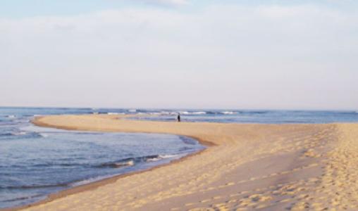 Cape Cod5