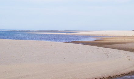 Cape Cod6
