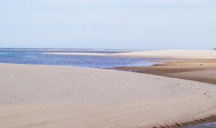 Cape Cod6