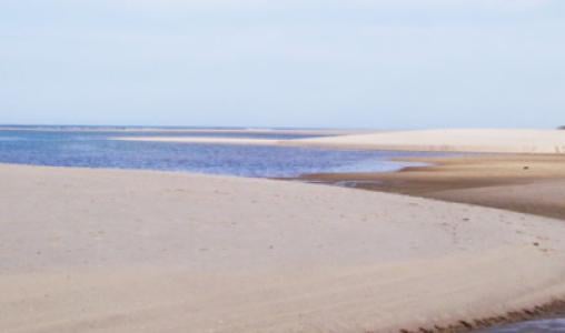 Cape Cod6