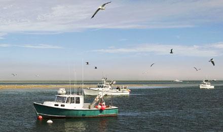 Chatham Cape Cod Provincetown