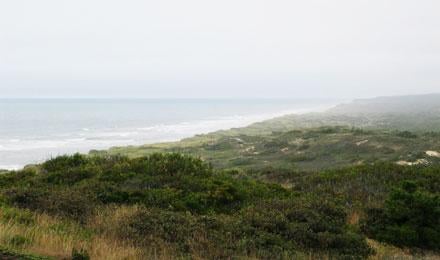 Chatham Harbor