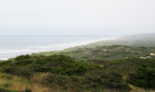 Chatham Harbor