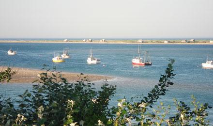 Chatham Harbor2