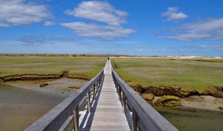 Boardwalk3