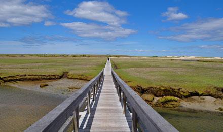 Boardwalk3