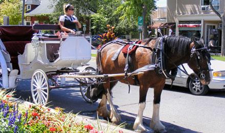 Horse And Carriage