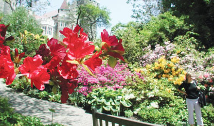 Casa Loma Gardens