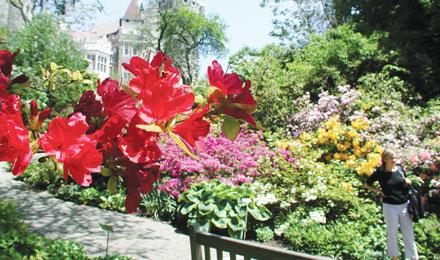 Casa Loma Gardens