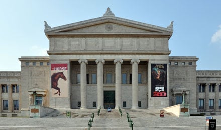 Field Museum Of Natural History