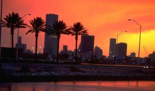Miami Sunset