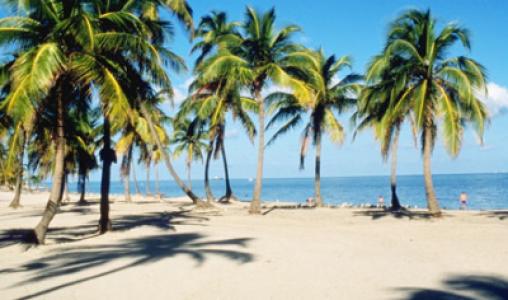 Stroll Along The Beach