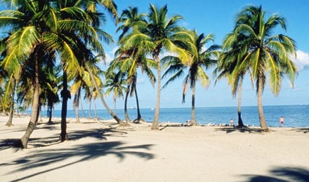 Stroll Along The Beach