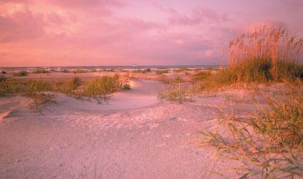Beaufort Sc2