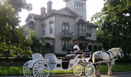 Horse And Carriage Jekyll Island