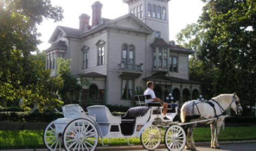Horse And Carriage Jekyll Island