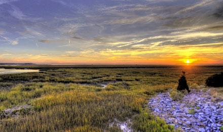 Jekyll Island2