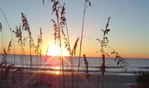 Jekyll Island4