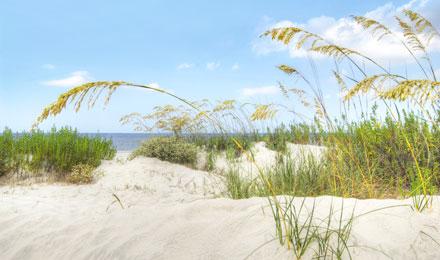 Jekyll Island5