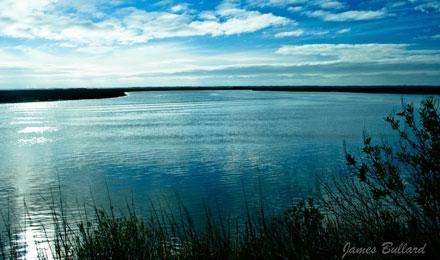 St Simons Island7