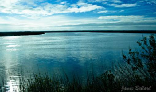 St Simons Island7