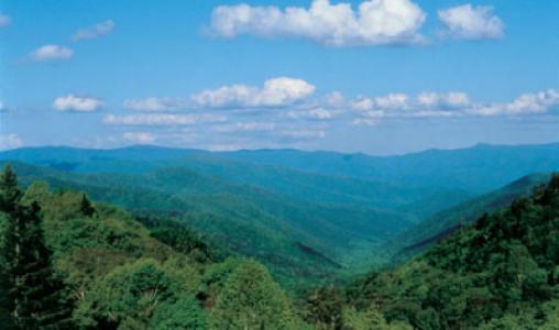 Smoky Mountains3