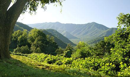 Smoky Mountains4