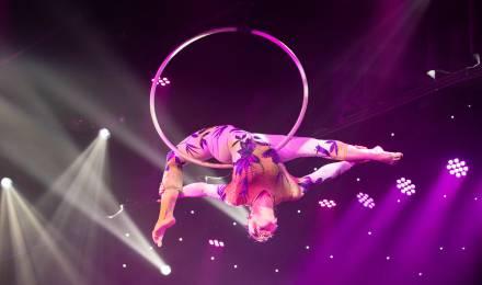 02 Array Hoop
