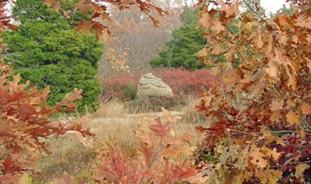 Rockport Mass6