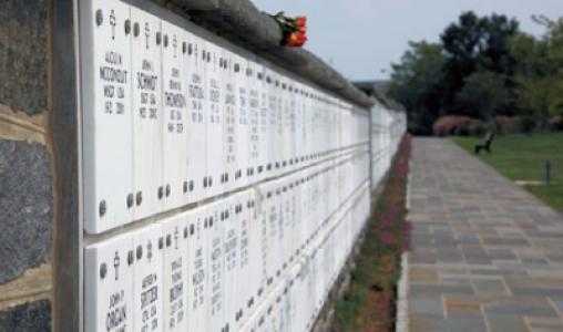 Arlington National Cemetary 2
