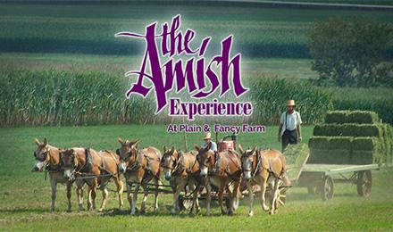 03 Amish Experience 3