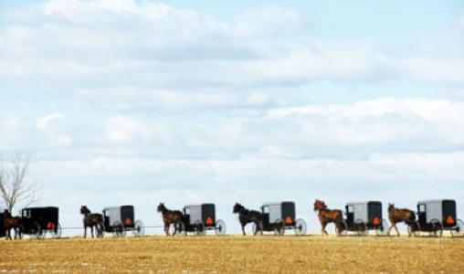 Amish Buggies Lancaster