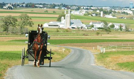 Amish Buggy Lancaster Amish Country