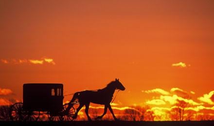 Amish Buggy