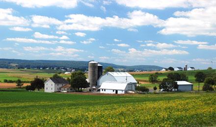 Lancaster Amish Country