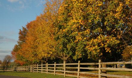Lancaster And The Amish Country