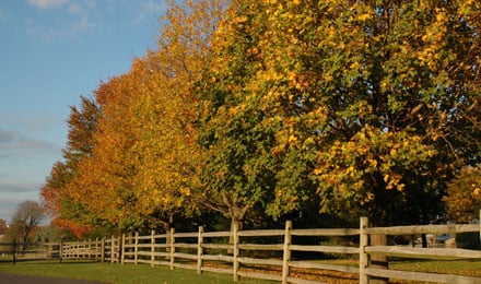 Lancaster And The Amish Country