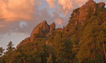 Tour Of Wildlife Loop Road At Custer State Park