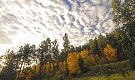 Custer State Park3
