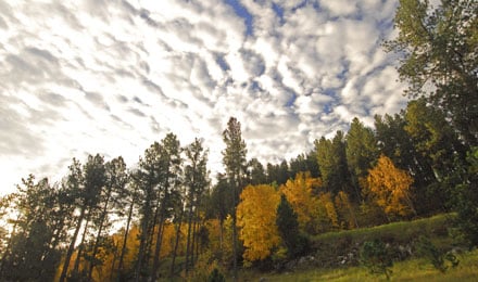 Custer State Park3
