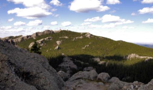 Custer State Park6