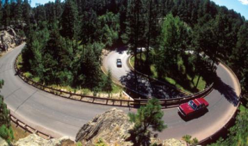 Wildlife Loop Road