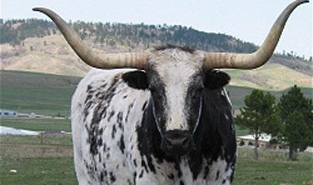 High Plains Western Heritage Center4