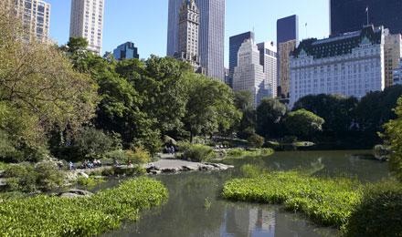 Central Park New York City