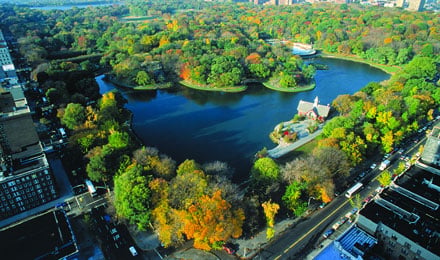 Central Park