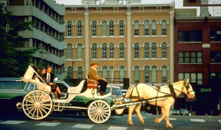 Horse And Carriage Nashville Tn