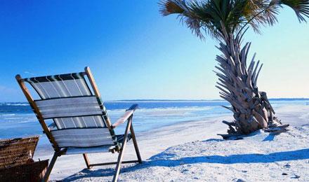 Guided Tour Of Amelia Island, Florida